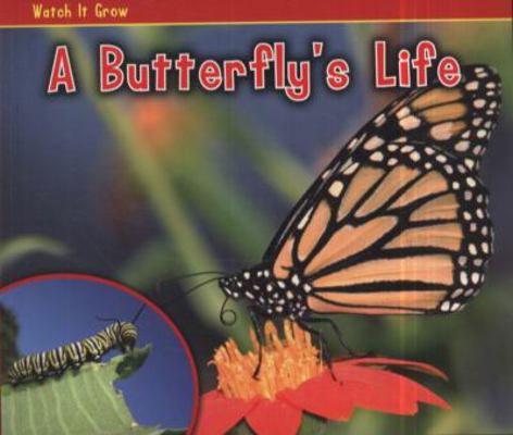 Butterfly 0431195455 Book Cover
