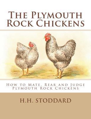 The Plymouth Rock Chickens: How to Mate, Rear a... 1548388351 Book Cover