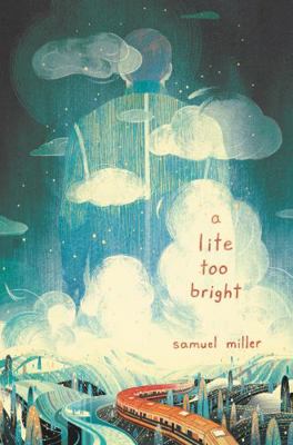 A Lite Too Bright B071VBHRNT Book Cover