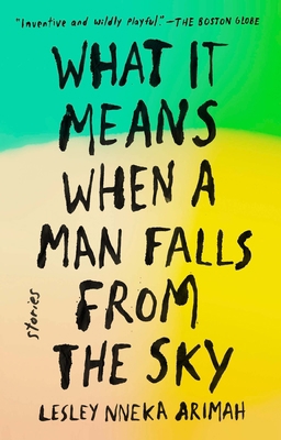 What It Means When a Man Falls from the Sky: St... 0735211035 Book Cover