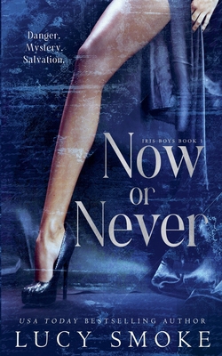 Now or Never B0FRX5W4TD Book Cover