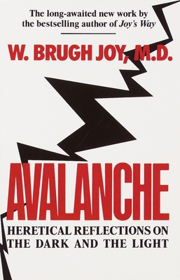 Avalanche: Heretical Reflections on the Dark an... 0345367227 Book Cover