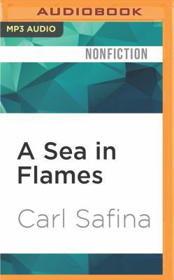 A Sea in Flames 1531831184 Book Cover