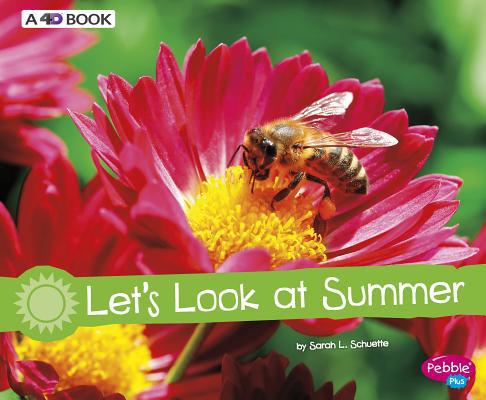 Let's Look at Summer: A 4D Book 1543508596 Book Cover