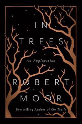 In Trees: An Exploration 1668222604 Book Cover