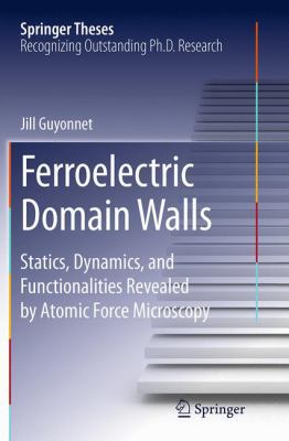 Ferroelectric Domain Walls: Statics, Dynamics, ... 3319382772 Book Cover