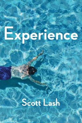 Experience: New Foundations for the Human Sciences 0745695140 Book Cover