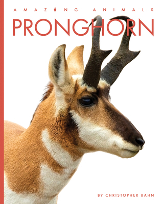 Pronghorn B0DHTJTBTM Book Cover