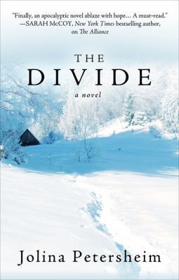 The Divide [Large Print] 1432841238 Book Cover