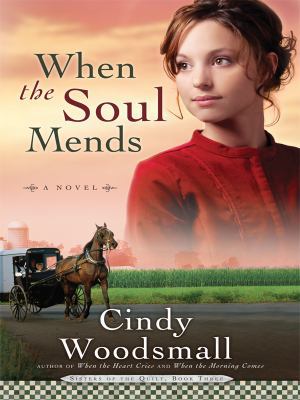 When the Soul Mends (Thorndike Press Large Prin... [Large Print] 1410412180 Book Cover