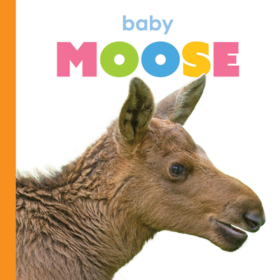 Baby Moose 1682778363 Book Cover