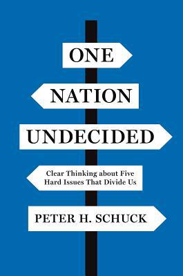 One Nation Undecided: Clear Thinking about Five... 0691191581 Book Cover