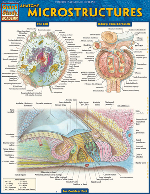 Anatomy: Microstructures 1423224159 Book Cover