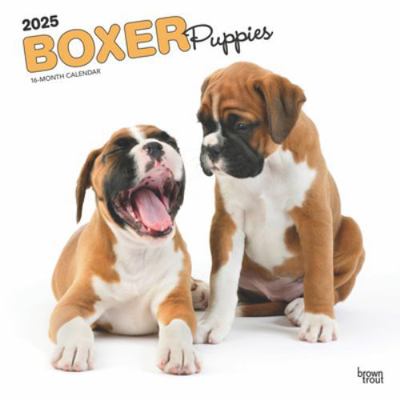 Boxer Puppies 2025 12 X 24 Inch Monthly Square ... 1975476719 Book Cover
