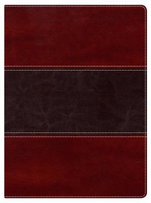 Holman Study Bible-NKJV 1433605074 Book Cover
