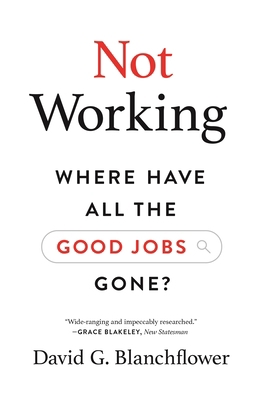 Not Working: Where Have All the Good Jobs Gone? 0691205493 Book Cover