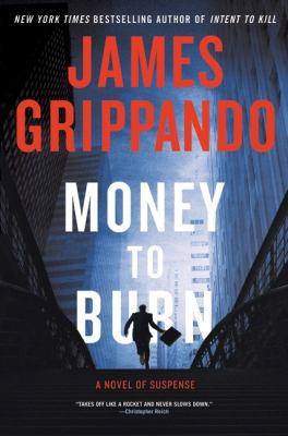 Money to Burn: A Novel of Suspense 0061556300 Book Cover
