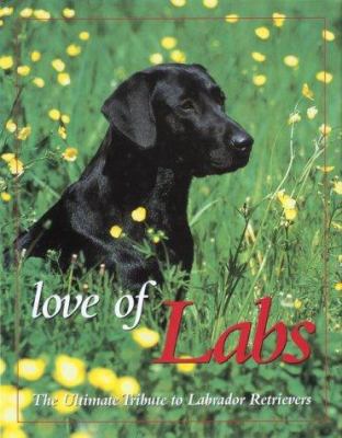 Love of Labs: The Ultimate Tribute to Labrador ... 0896583562 Book Cover