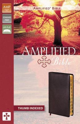 Amplified Bible-AM 031095181X Book Cover