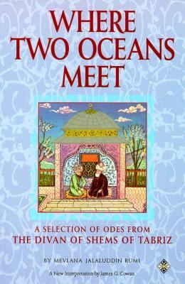 Where Two Oceans Meet 1852303301 Book Cover