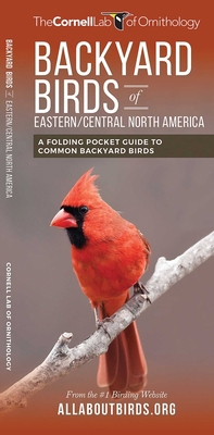 Backyard Birds of Eastern/Central North America... 1620052423 Book Cover