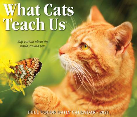 What Cats Teach Us 2021 Box Calendar 1549214497 Book Cover