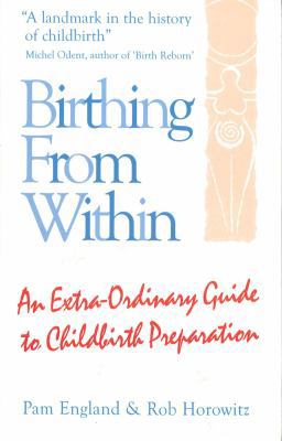 Birthing from Within 0285637878 Book Cover