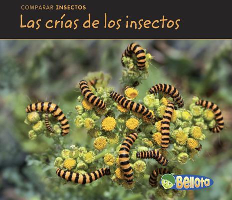 Las Cr?as de Los Insectos = Bug Babies [Spanish] 1432943340 Book Cover