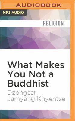 What Makes You Not a Buddhist 1536644463 Book Cover
