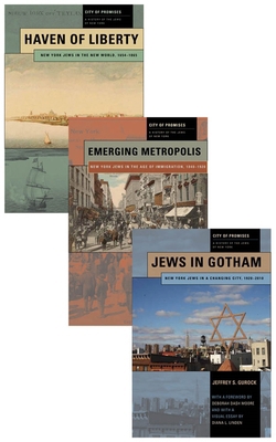 City of Promises: A History of the Jews of New ... 0814717314 Book Cover
