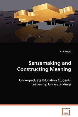 Sensemaking and Construction Meaning 3836463741 Book Cover