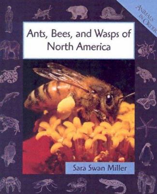 Ants, Bees, and Wasps of North America 0613678699 Book Cover