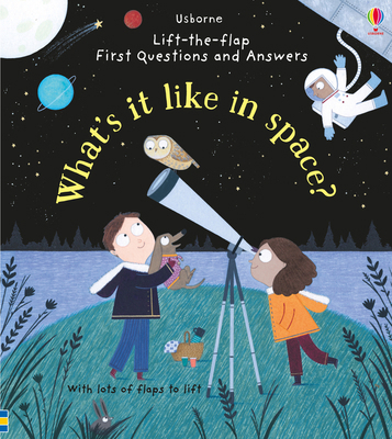 First Questions and Answers: What's It Like in ... 1474920527 Book Cover