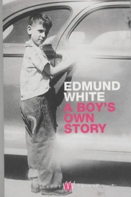 A Boy's Own Story (Picador Thirty) 0330412264 Book Cover