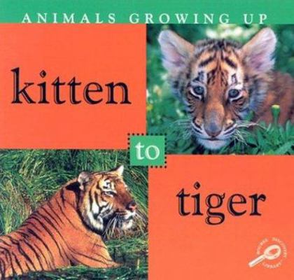 Kitten to Tiger (Animals Growing Up) 1589528581 Book Cover