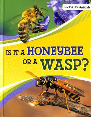Is It a Honeybee or a Wasp? 1398225673 Book Cover