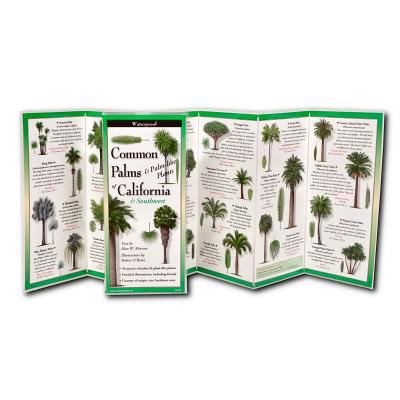 Common Palms of California & Southwest 1621261727 Book Cover