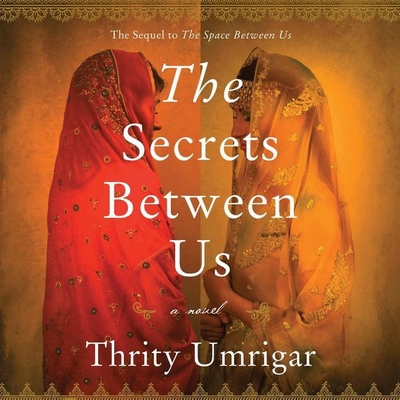 The Secrets Between Us 153855058X Book Cover