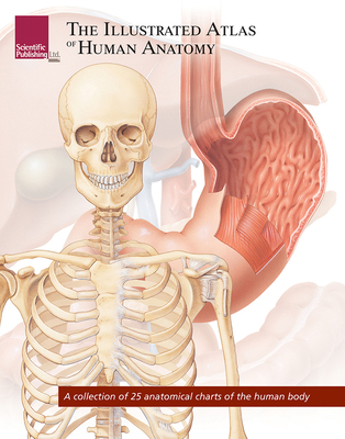 The Illustrated Atlas of Human Anatomy: A Colle... 1932922954 Book Cover