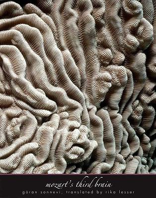 Mozart's Third Brain (The Margellos World Repub... 0300145802 Book Cover