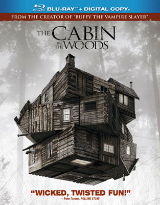 The Cabin in the Woods            Book Cover