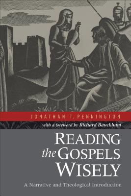 Reading the Gospels Wisely: A Narrative and The... 0801039371 Book Cover