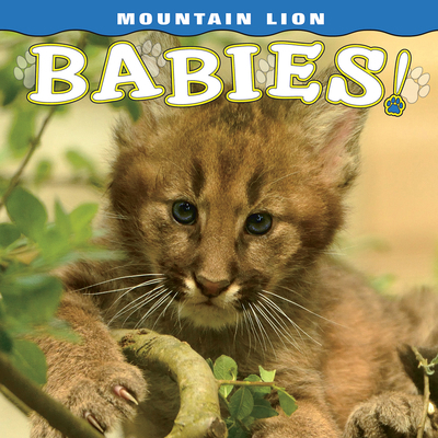 Mountain Lion Babies 1560377704 Book Cover