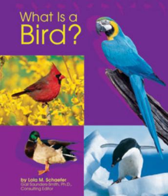 What Is a Bird? 0736808647 Book Cover