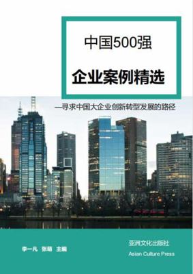 Paperback China Top 500 Enterprises Case Selection [Chinese] Book
