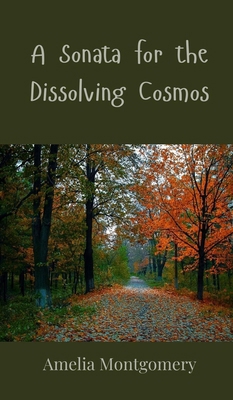 A Sonata for the Dissolving Cosmos 3690801524 Book Cover