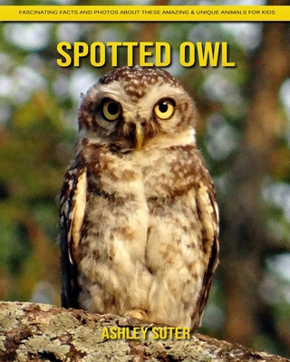 Spotted Owl: Fascinating Facts and Photos about These Amazing & Unique Animals for Kids