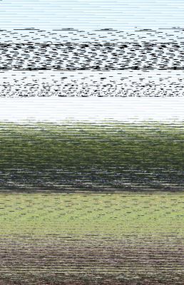 Little Things 0984460160 Book Cover