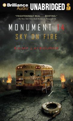 Sky on Fire 1469255642 Book Cover