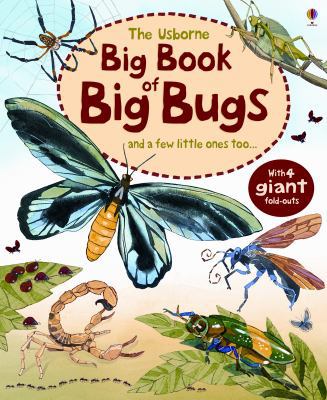 The Usborne Big Book of Big Bugs: And a Few Lit... 0794533000 Book Cover